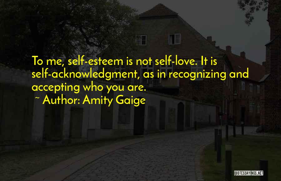 Accepting Who You Are Quotes By Amity Gaige