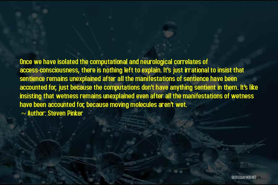 Access Consciousness Quotes By Steven Pinker