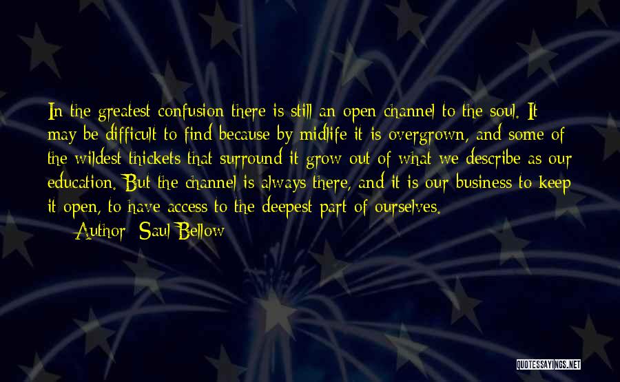 Access To Education Quotes By Saul Bellow