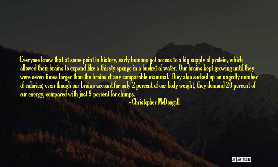 Access To Water Quotes By Christopher McDougall