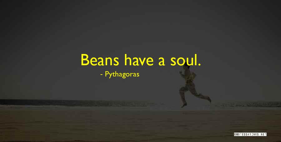 Accession Number Quotes By Pythagoras Accession Number Quotes By Pythagoras