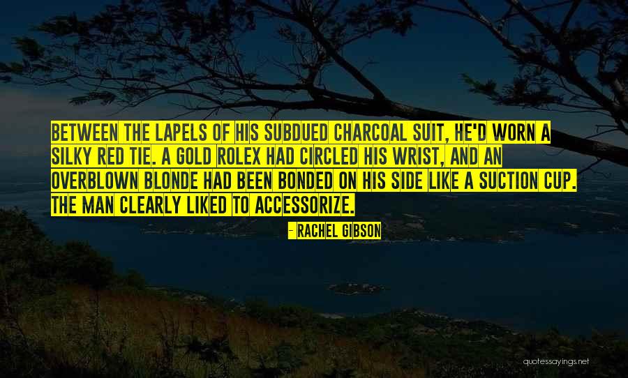 Accessorize Quotes By Rachel Gibson