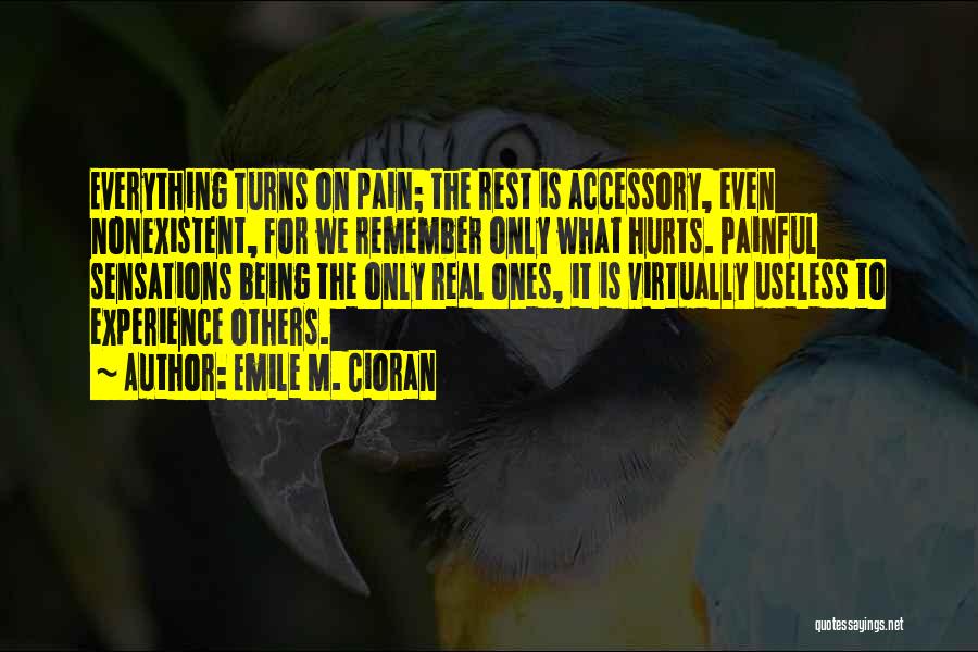 Accessory Quotes By Emile M. Cioran