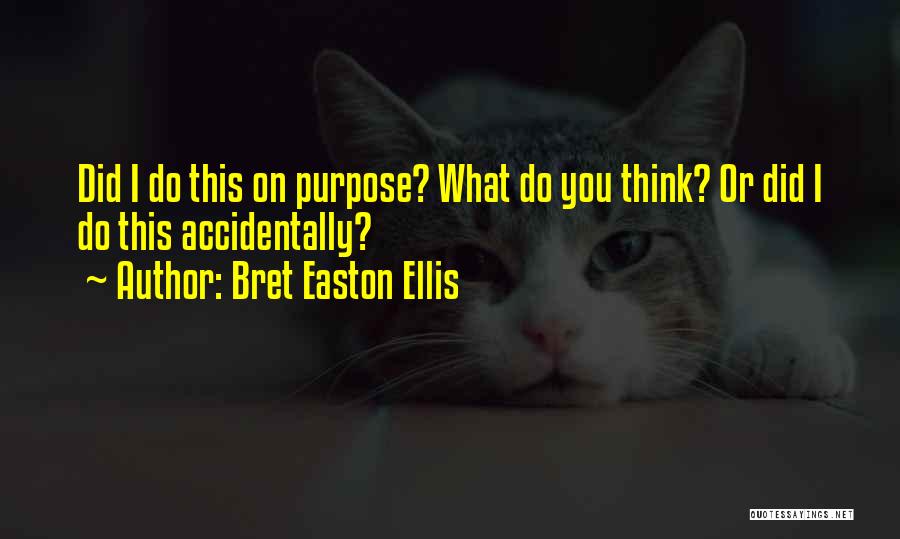 Accidentally On Purpose Quotes By Bret Easton Ellis