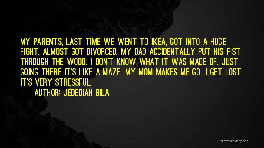 Accidentally Quotes By Jedediah Bila