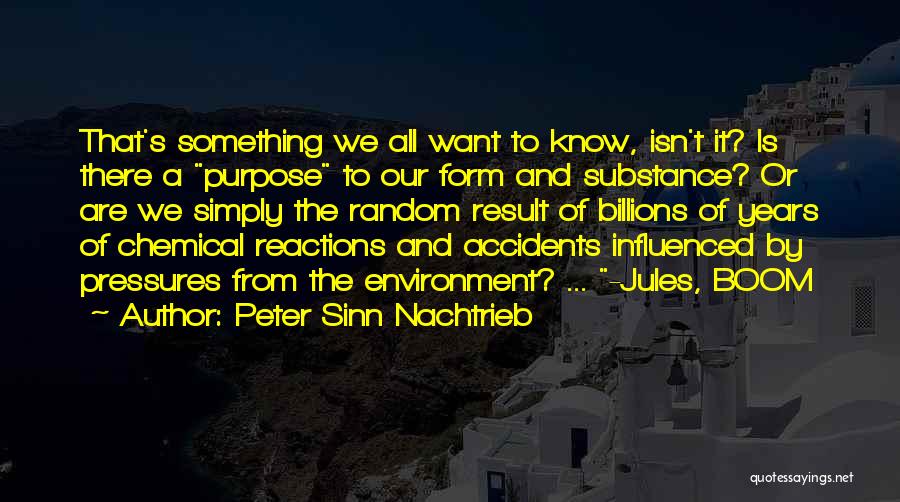 Accidents Quotes By Peter Sinn Nachtrieb