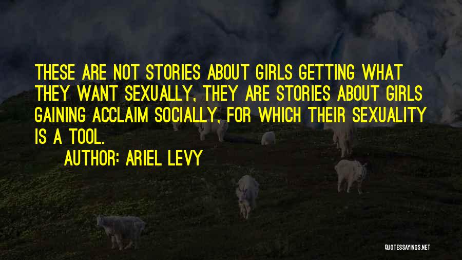 Acclaim Quotes By Ariel Levy