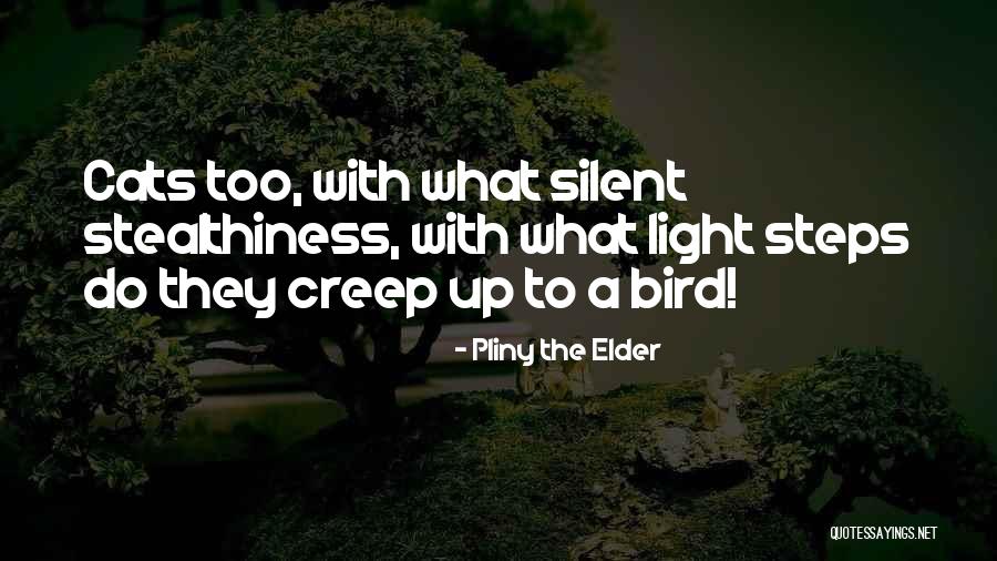 Acclaim Systems Quotes By Pliny The Elder Acclaim Systems Quotes By Pliny The Elder