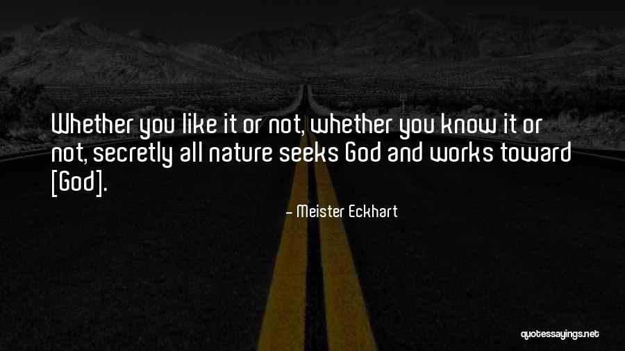 Acclimatise Climate Quotes By Meister Eckhart Acclimatise Climate Quotes By Meister Eckhart