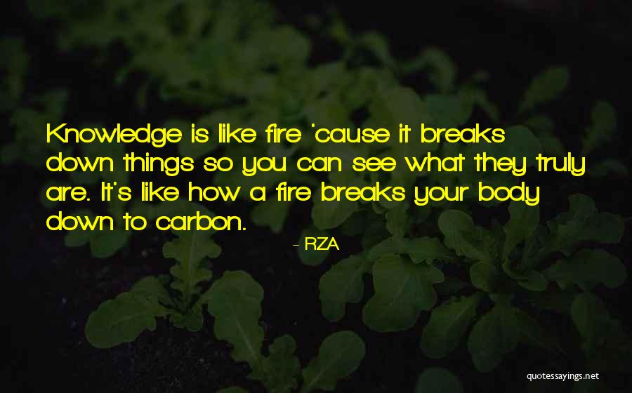 Accompagnato In Music Quotes By RZA Accompagnato In Music Quotes By RZA