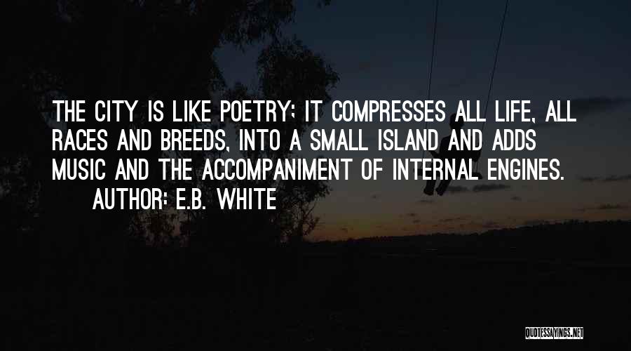 Accompaniment Quotes By E.B. White