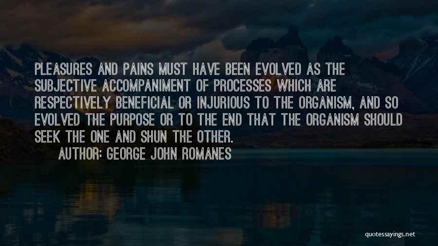 Accompaniment Quotes By George John Romanes