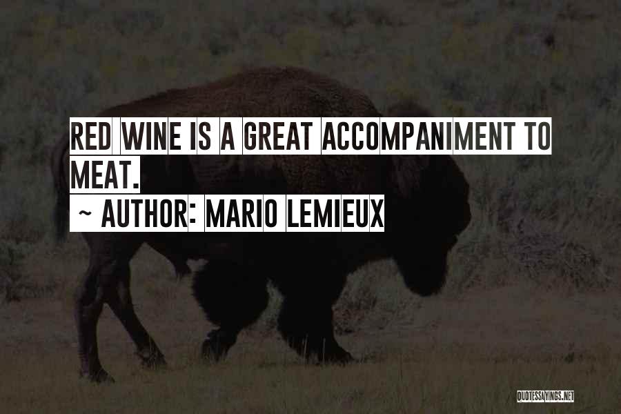 Accompaniment Quotes By Mario Lemieux