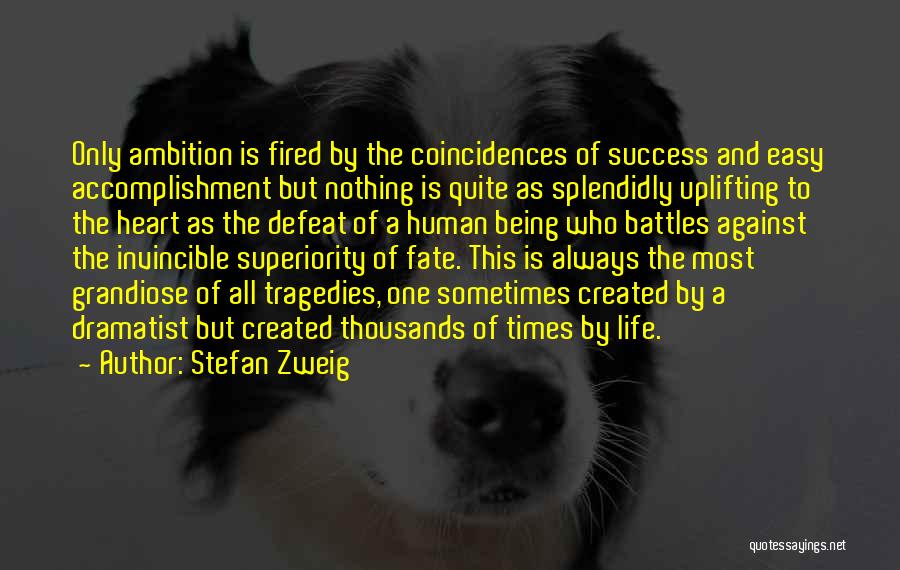 Accomplishment And Success Quotes By Stefan Zweig
