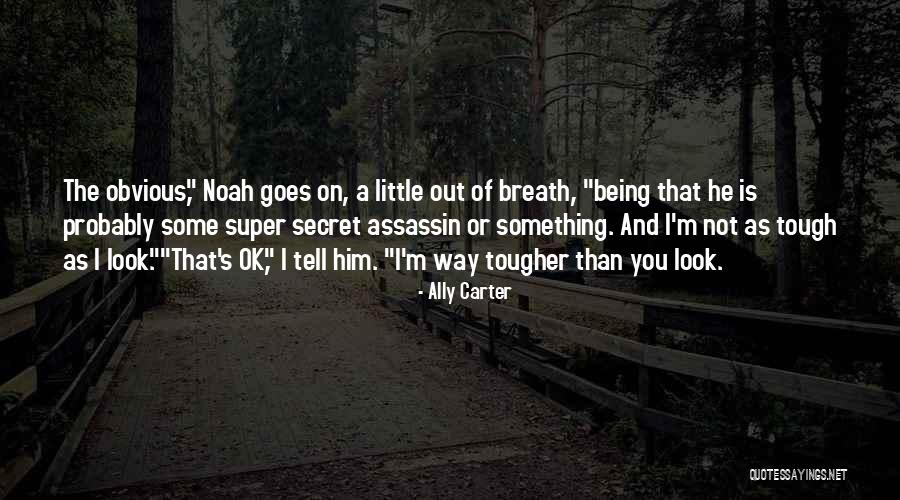 Accomplishmentsplished Quotes By Ally Carter Accomplishmentsplished Quotes By Ally Carter