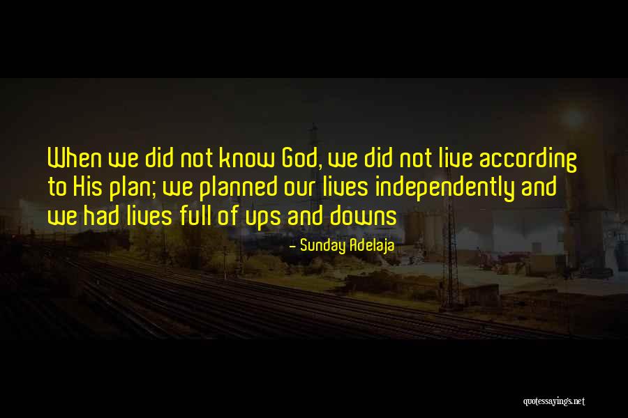 According To Plan Quotes By Sunday Adelaja