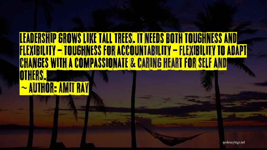 Accountability In Leadership Quotes By Amit Ray