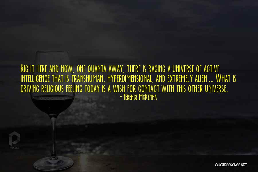 Accruing Synonym Quotes By Terence McKenna Accruing Synonym Quotes By Terence McKenna