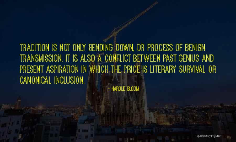 Acculturation Process Quotes By Harold Bloom Acculturation Process Quotes By Harold Bloom