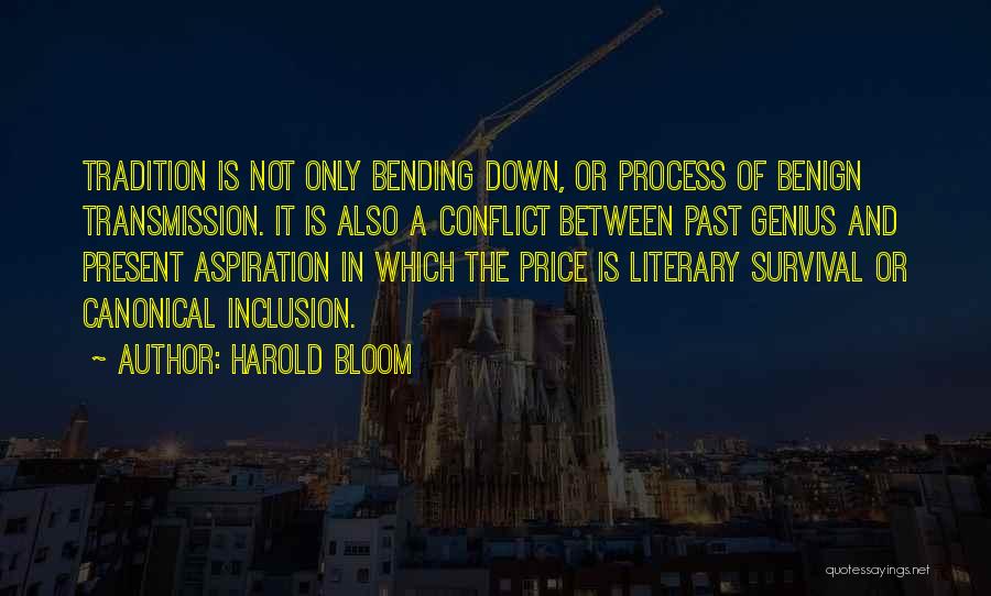 Acculturation Quotes By Harold Bloom