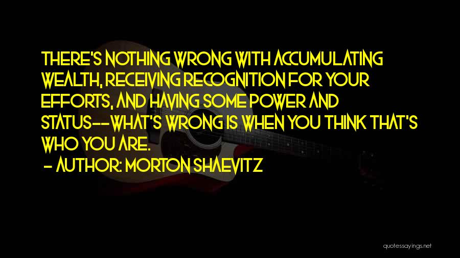 Accumulating Wealth Quotes By Morton Shaevitz