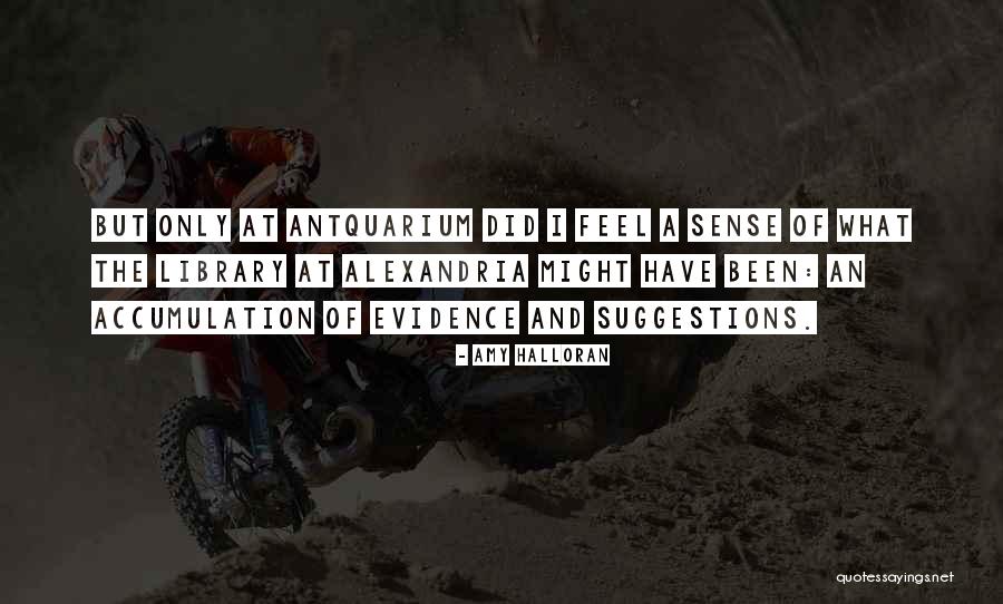 Accumulation Quotes By Amy Halloran Accumulation Quotes By Amy Halloran