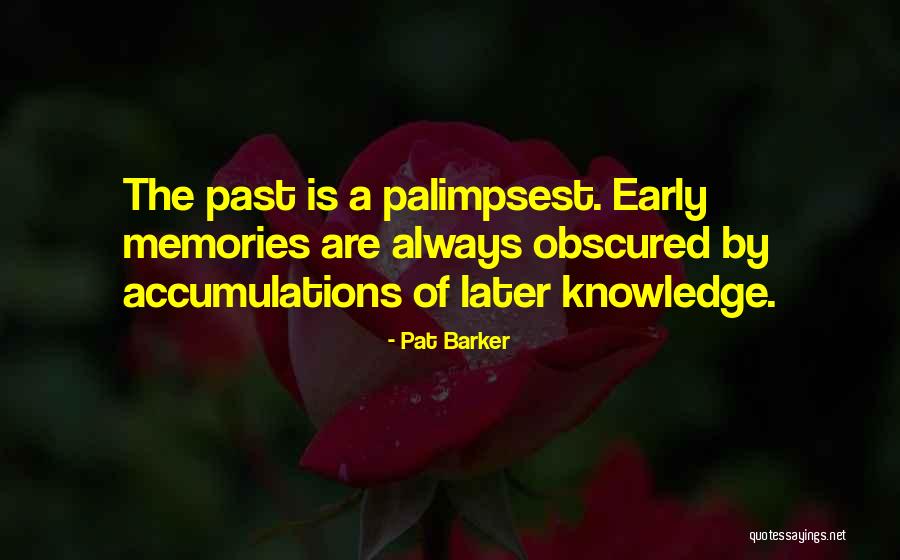 Accumulation Quotes By Pat Barker