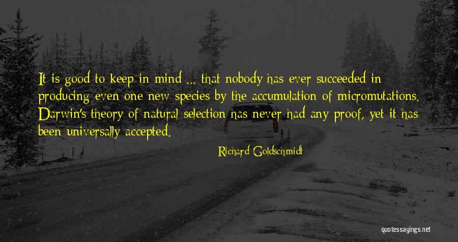 Accumulation Quotes By Richard Goldschmidt