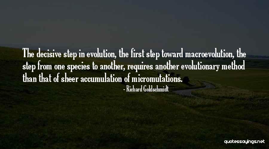 Accumulation Quotes By Richard Goldschmidt