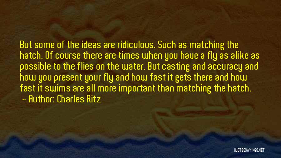 Accuracy Quotes By Charles Ritz