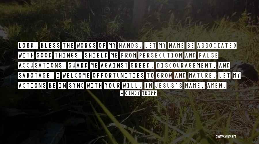 Accusations Quotes By Cindy Trimm Accusations Quotes By Cindy Trimm