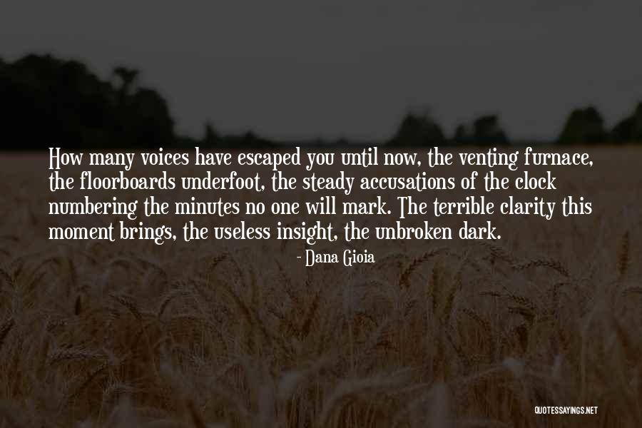 Accusations Quotes By Dana Gioia Accusations Quotes By Dana Gioia
