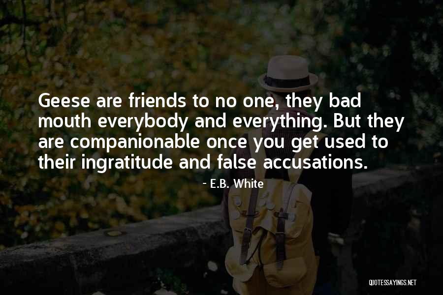 Accusations Quotes By E.B. White Accusations Quotes By E.B. White