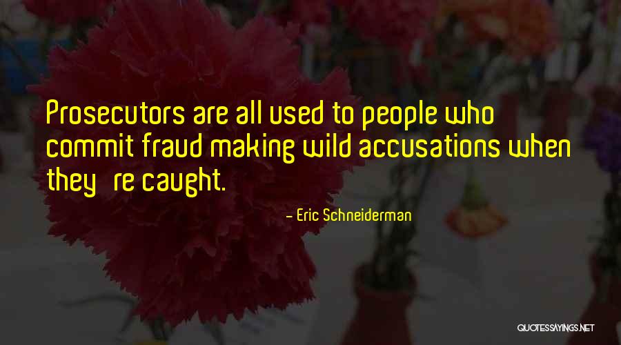 Accusations Quotes By Eric Schneiderman Accusations Quotes By Eric Schneiderman