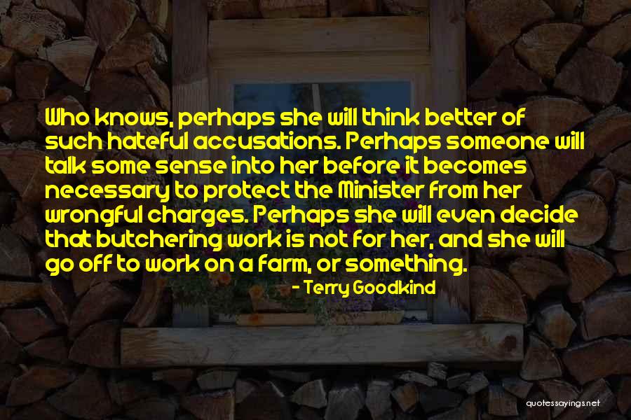 Accusations Quotes By Terry Goodkind Accusations Quotes By Terry Goodkind
