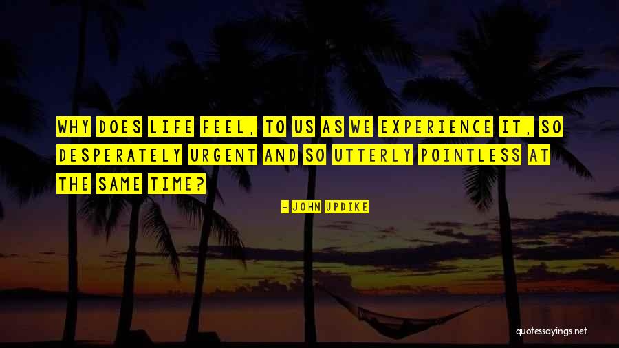 Accusatory In A Sentence Quotes By John Updike Accusatory In A Sentence Quotes By John Updike