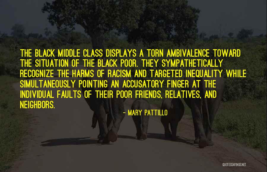 Accusatory Quotes By Mary Pattillo Accusatory Quotes By Mary Pattillo
