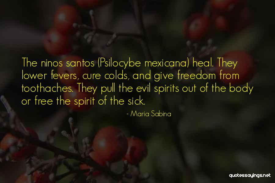 Accusatory Synonym Quotes By Maria Sabina Accusatory Synonym Quotes By Maria Sabina