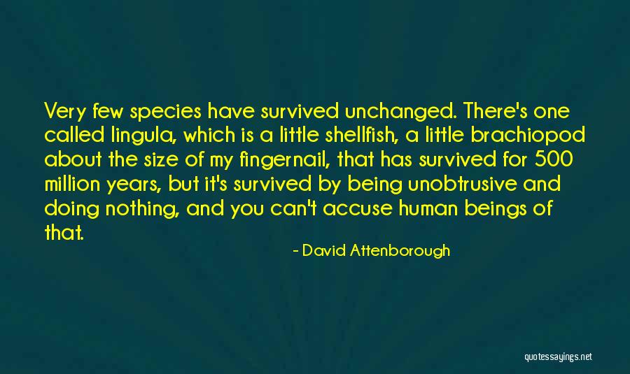 Accuse Quotes By David Attenborough