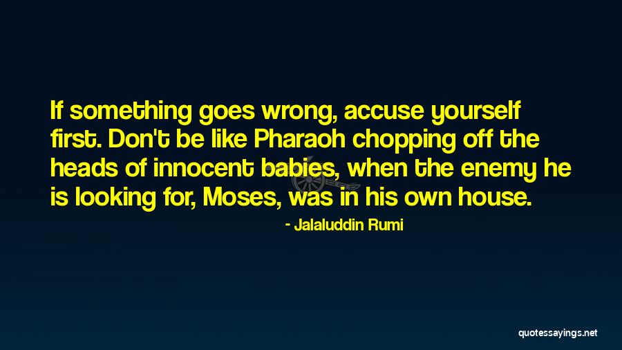 Accuse Quotes By Jalaluddin Rumi