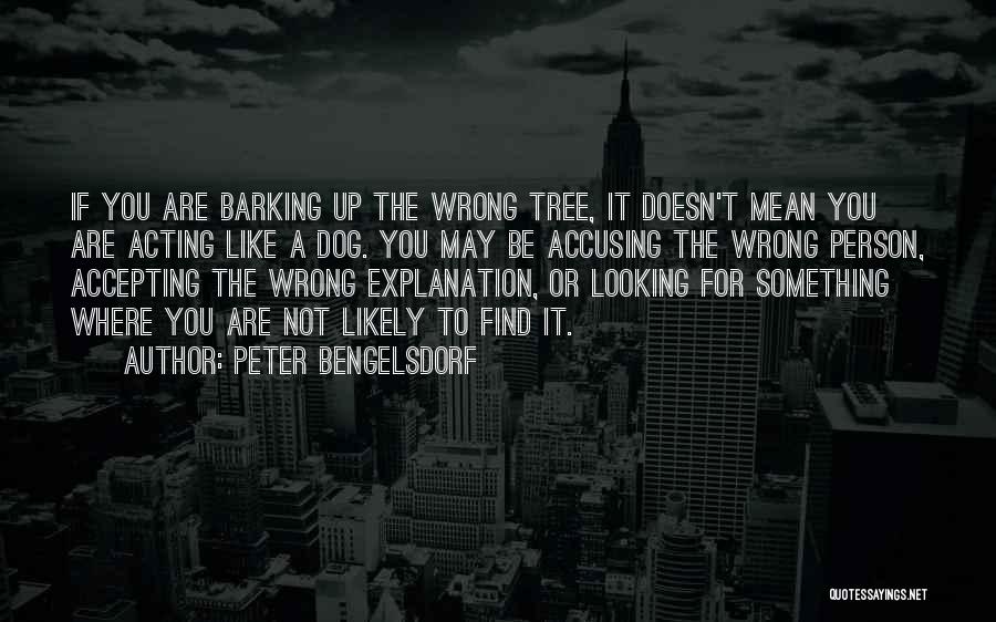 Accusing The Wrong Person Quotes By Peter Bengelsdorf