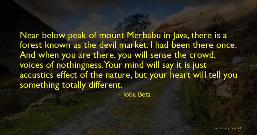 Accustics Quotes By Toba Beta Accustics Quotes By Toba Beta