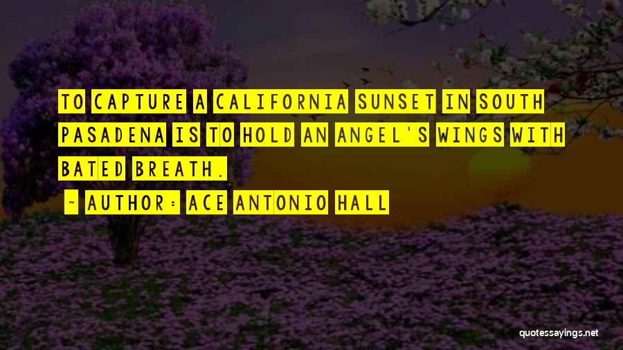 Ace Antonio Hall Quotes 602414