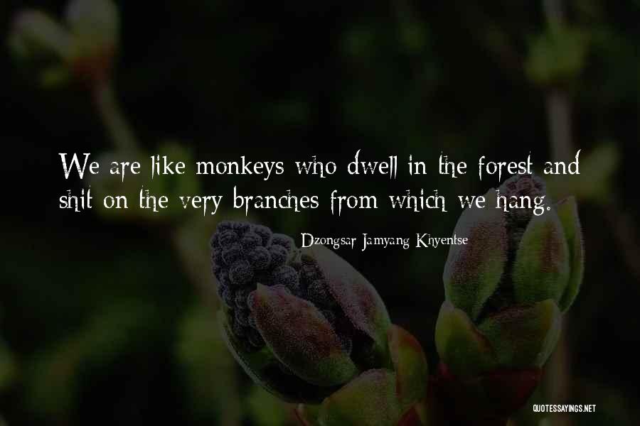 Ace Boogie Quotes By Dzongsar Jamyang Khyentse Ace Boogie Quotes By Dzongsar Jamyang Khyentse