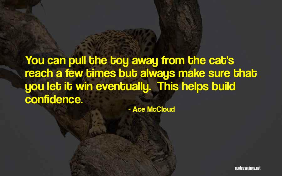 Ace McCloud Quotes 376204