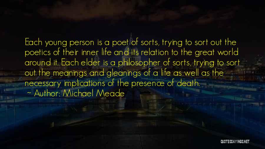 Ace Of Shades Quotes By Michael Meade
