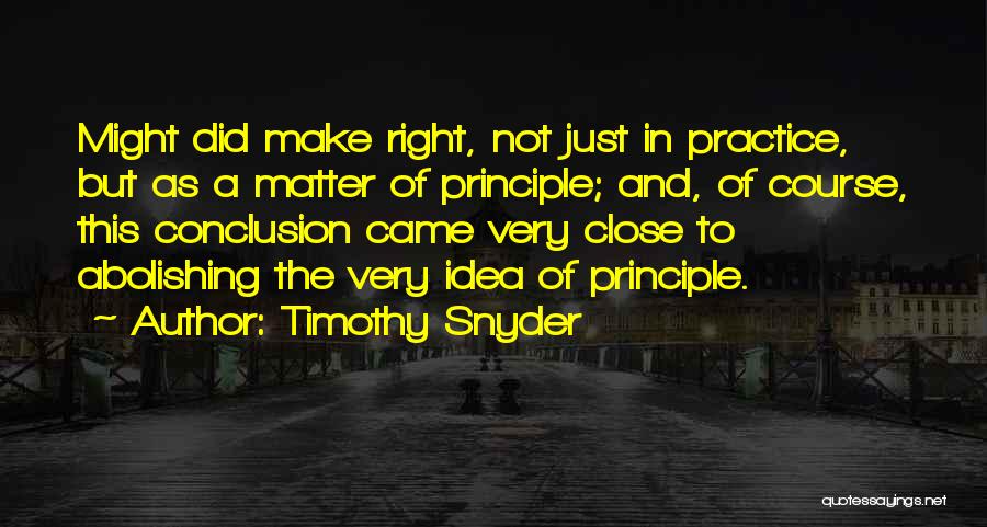 Ace Of Shades Quotes By Timothy Snyder