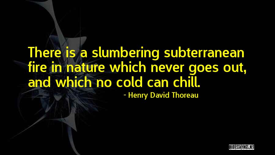Acecho En Quotes By Henry David Thoreau Acecho En Quotes By Henry David Thoreau