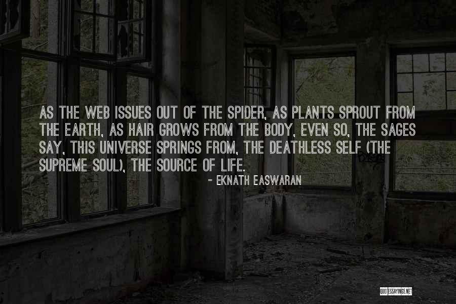 Acedemy Quotes By Eknath Easwaran Acedemy Quotes By Eknath Easwaran