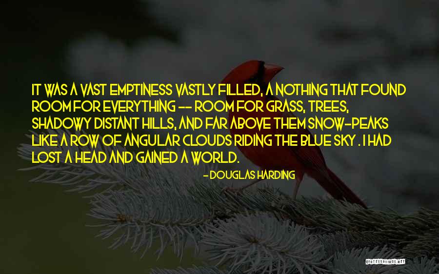 Aceea I Quotes By Douglas Harding Aceea I Quotes By Douglas Harding